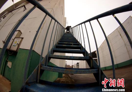 中央儲備糧江西泰和直屬庫有限公司保管員在倉庫巡查?！⊥蹶魂?yáng) 攝